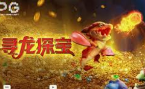 星空全站免费版