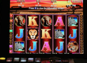 星空全站2024最新版