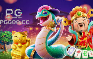 星空全站最新版